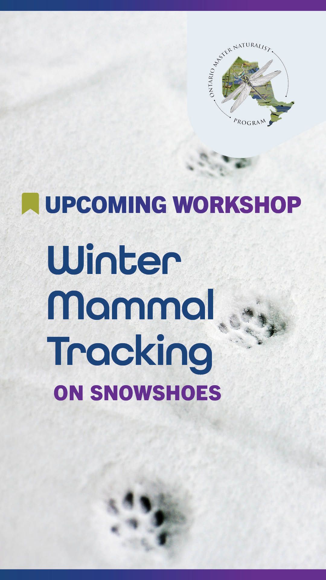 OMNP Winter Mammal Tracking on Snowshoes