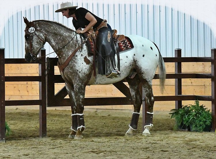 KarMik Acres Working Equitation Show Series Oct.