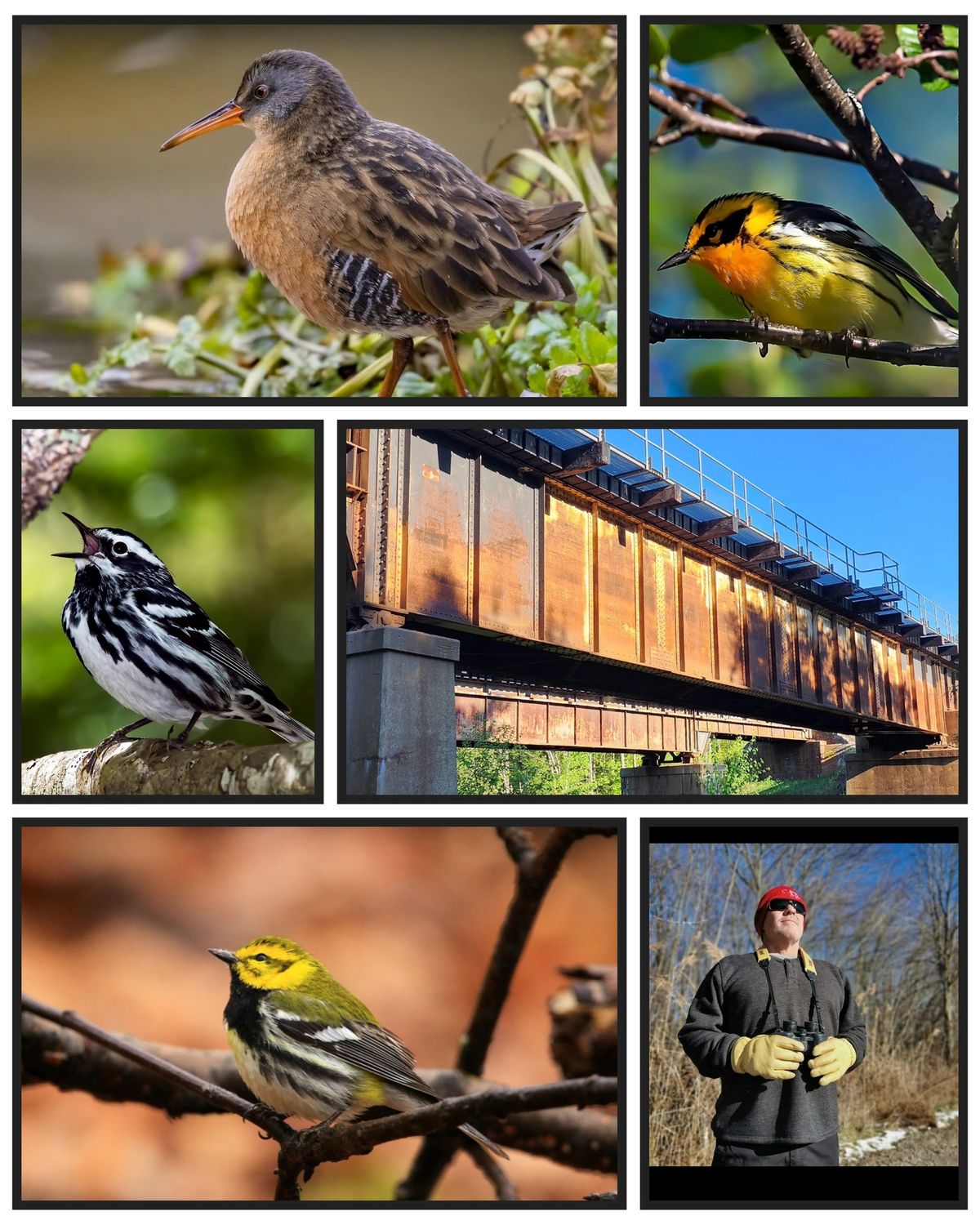 Bird Hike with Mark Calhoun