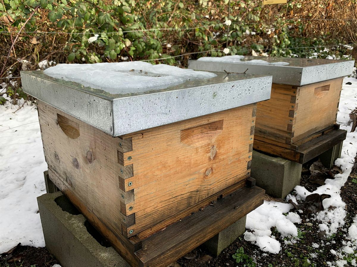 No Freeze Bees Workshop