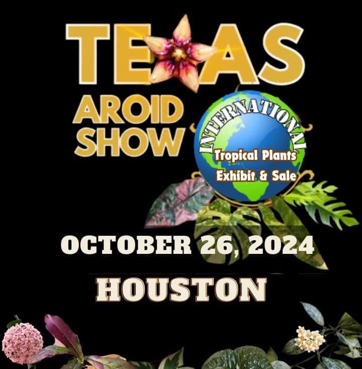 Texas Aroid Show Houston Exhibition & Sale 2024 