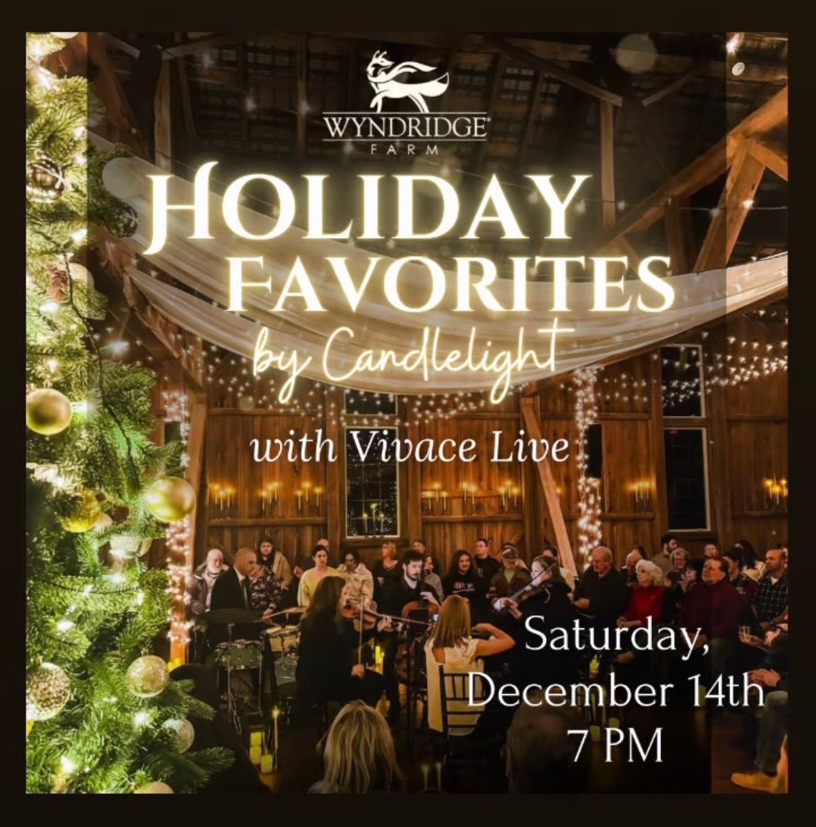 Holiday Favorites by Candlelight with Vivace Live 