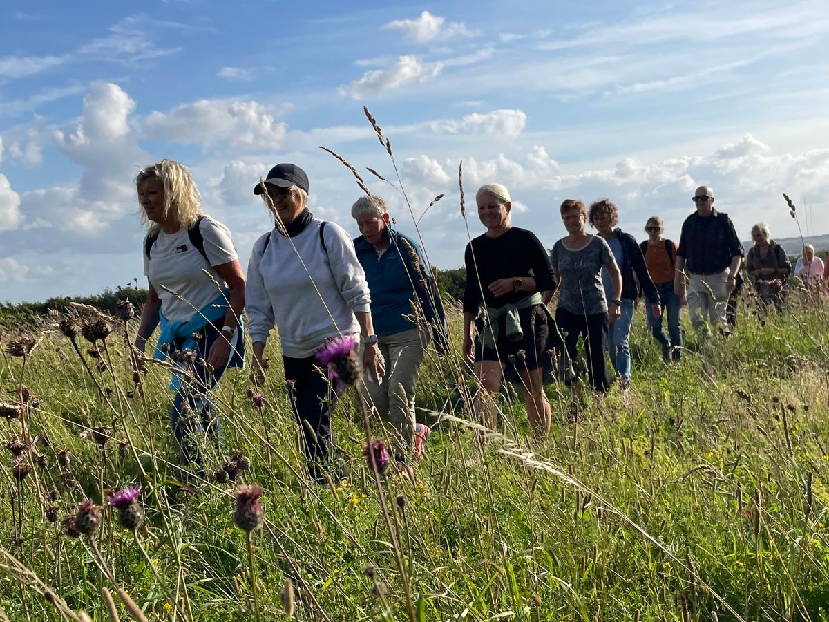 12 km guidet vandretur i Aalborgs natur!