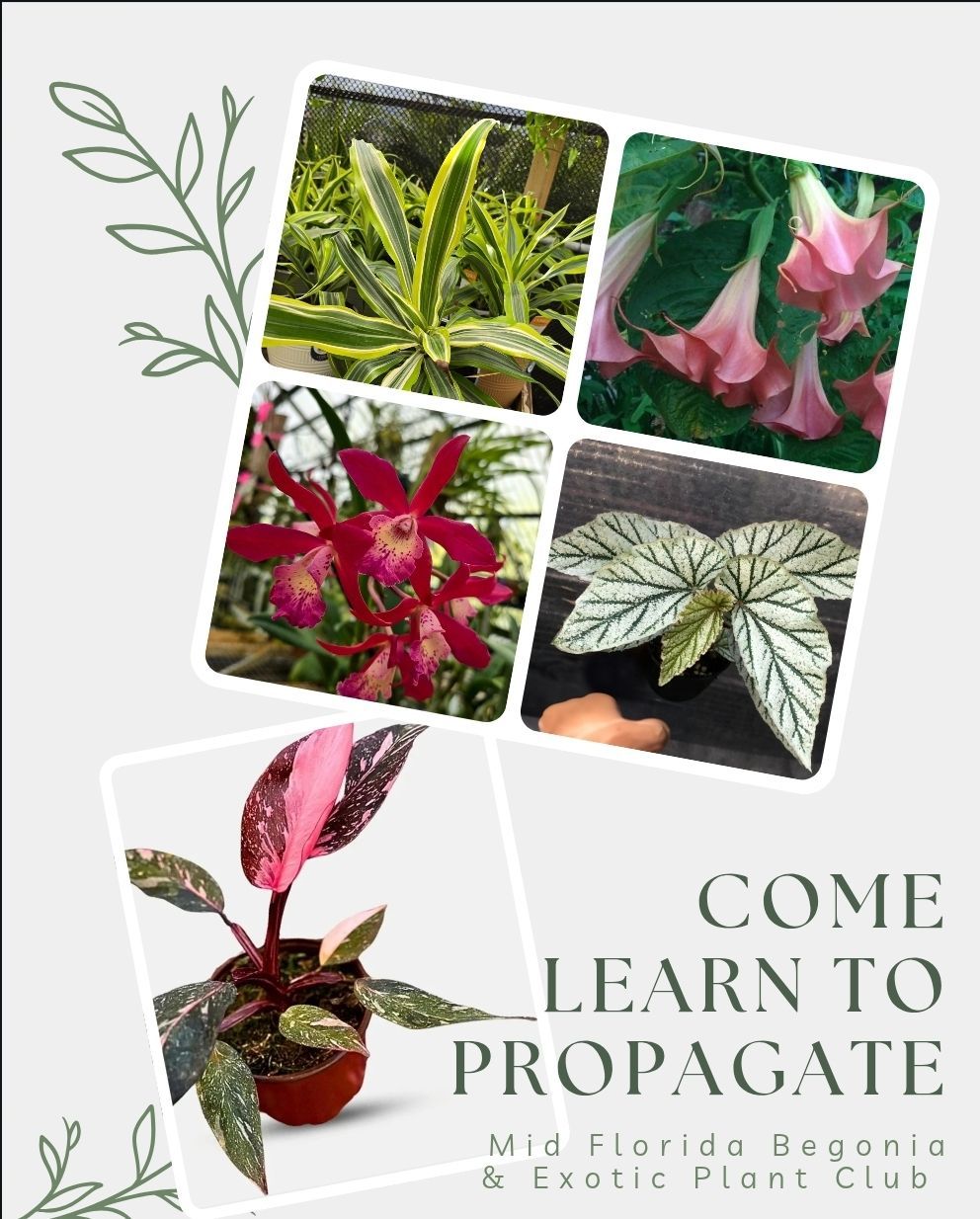 Propagation Party!