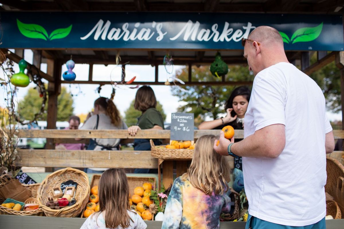 Funny Girl - Film - Greensboro