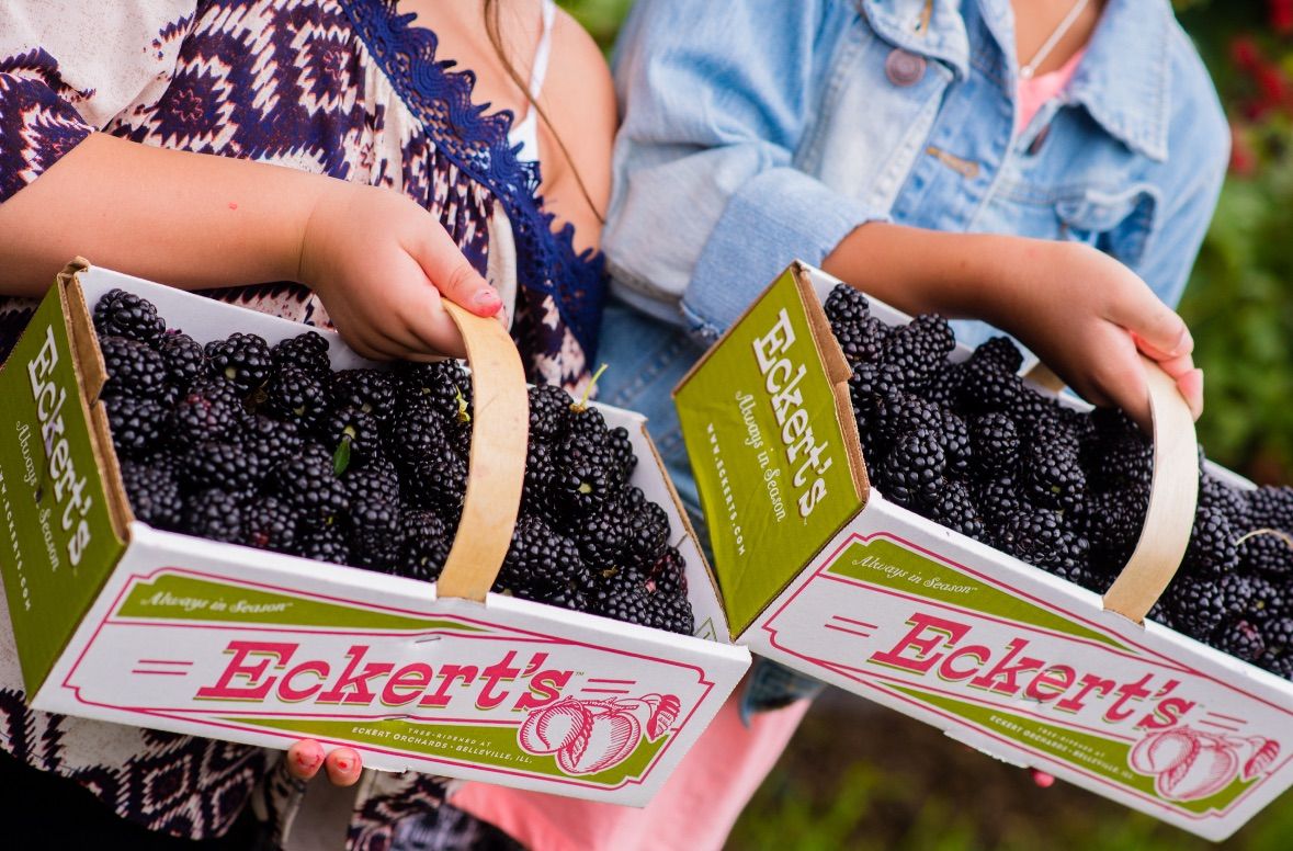 BBQ, Blackberries & Bluegrass