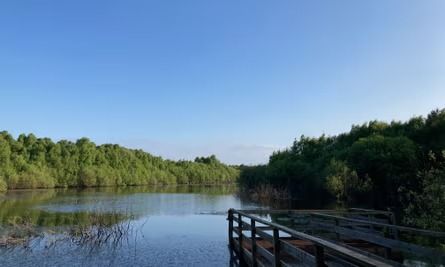 Oddie's Hikers - Hatfield Moors Nature Reserve, Doncaster