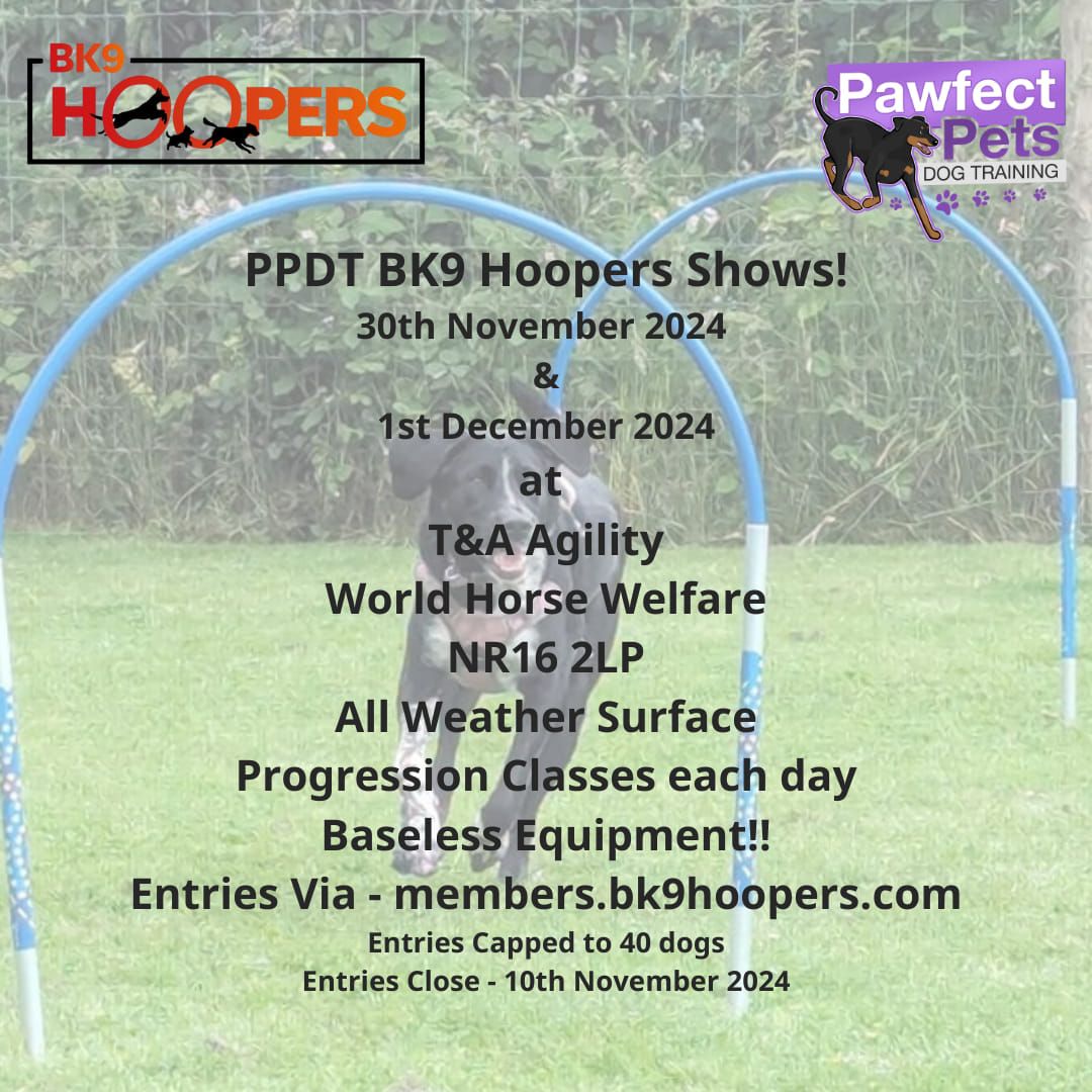 BK9 Hoopers Show