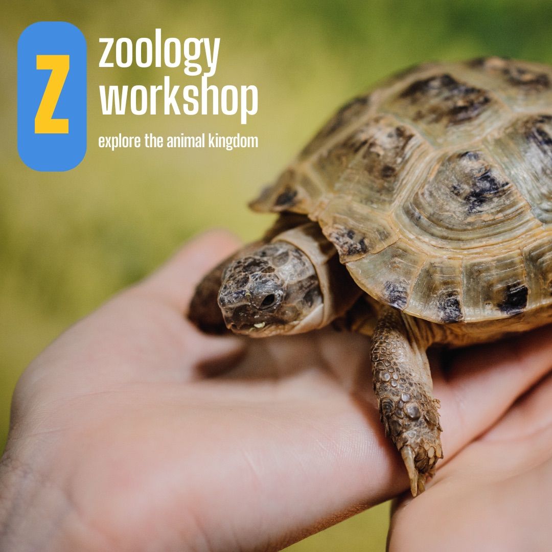 2025 Highway City Zoology Workshop