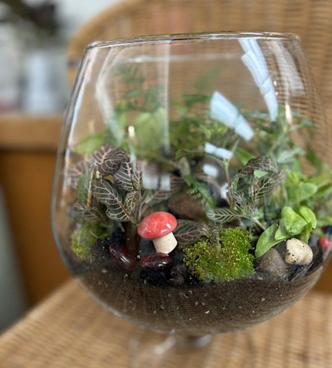 Terrarium Workshop with Sheryl