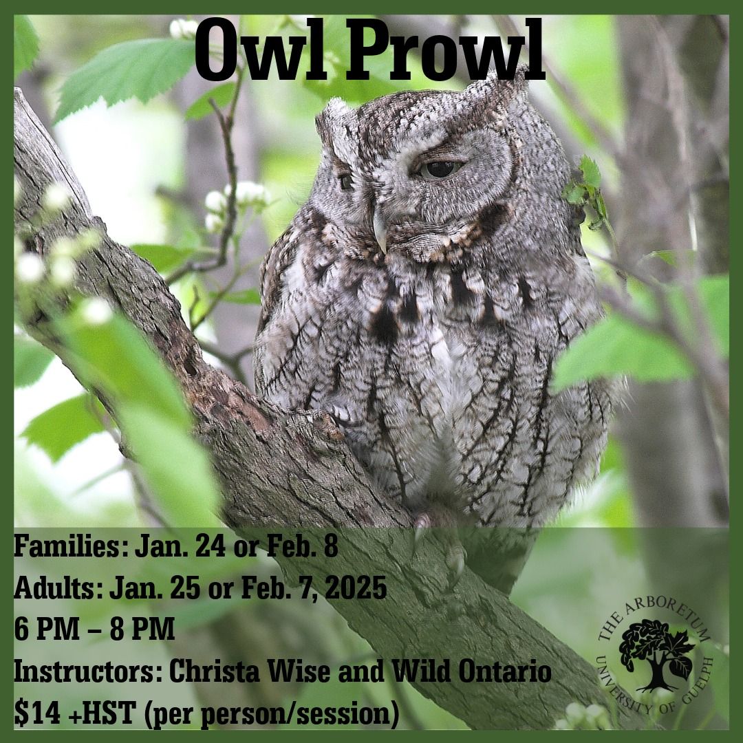 Owl Prowl - Family (all ages)