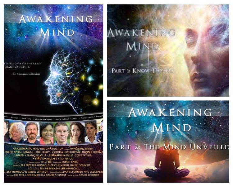 Light Works Movie Night! - "Awakening the Mind"