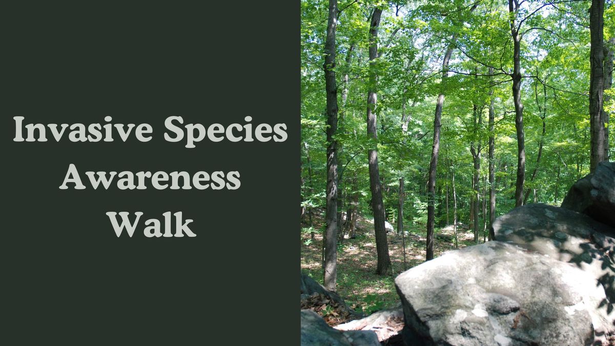 Invasive Species Awareness Walk