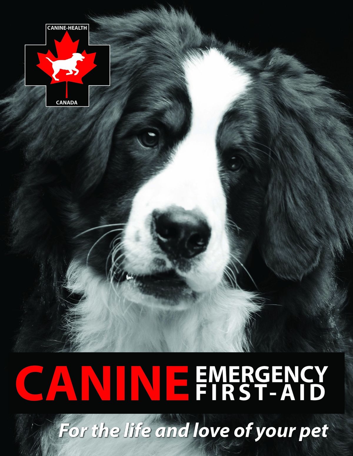 Canine Health, CPR & First Aid