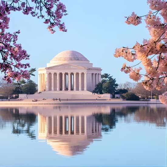 Small-Group Cherry Blossoms and Monuments Walking tour 