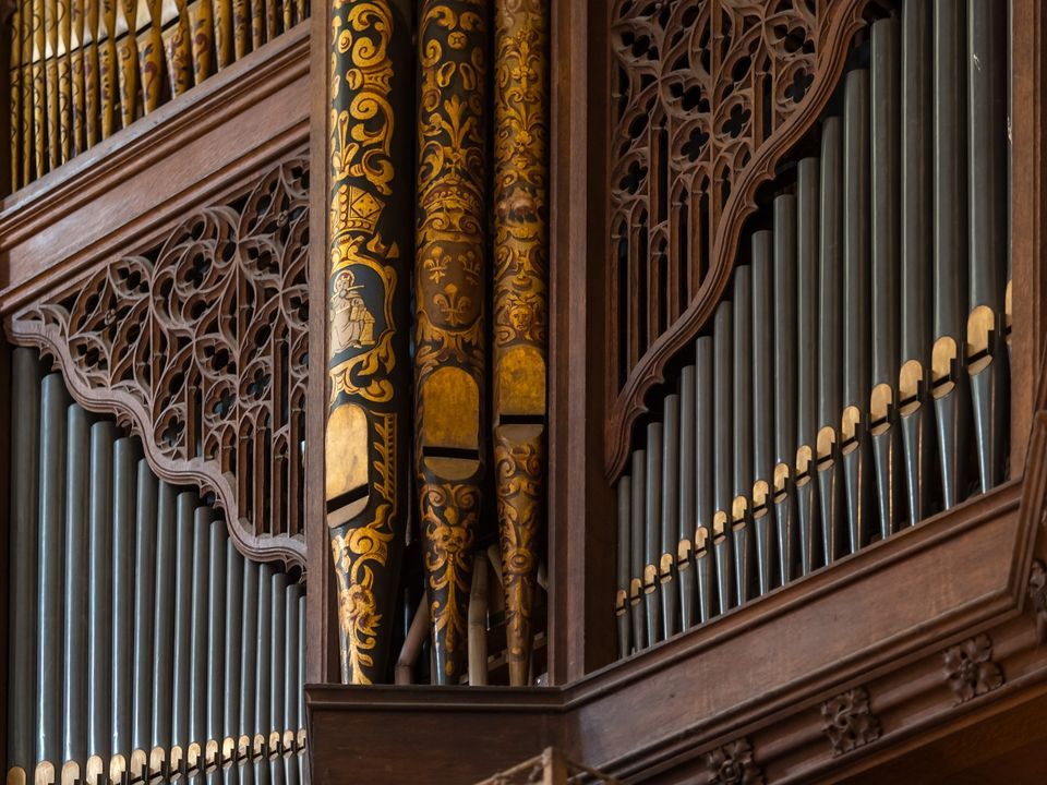 Peter Dyke, organ