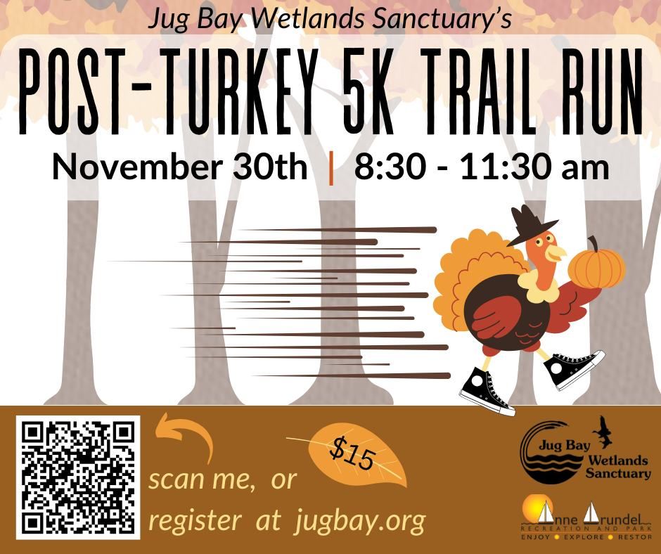 Post Turkey 5K Trail Run