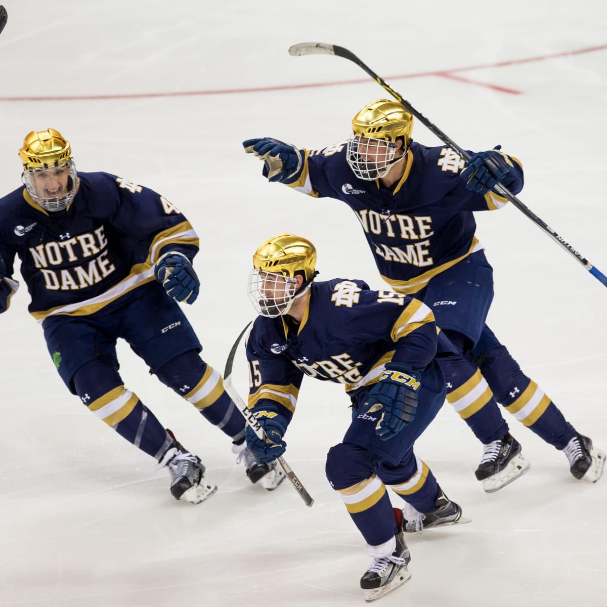 Michigan State Spartans at Notre Dame Fighting Irish Hockey at Compton Family Ice Arena