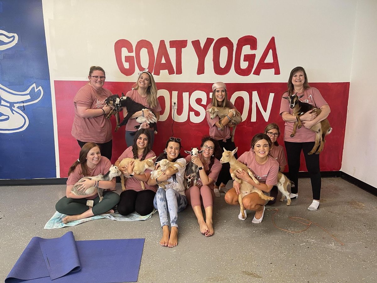 Goat Yoga Houston Nett Bar Baby Goats!