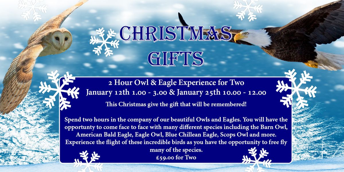 Christmas Gifts - 2 Hour Owl & Eagle Experience for Two