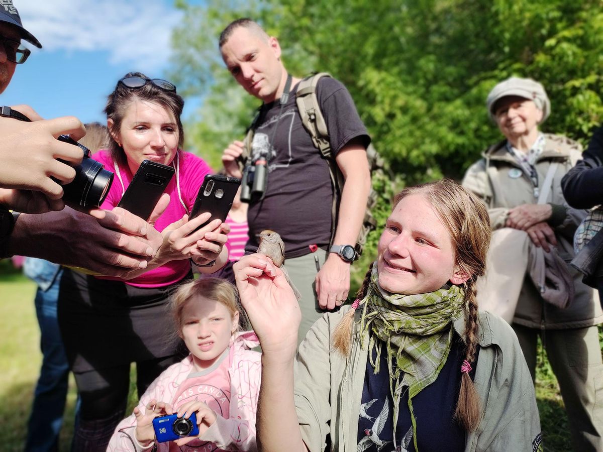 Festival ptactva na Chomoutovsk\u00e9m jeze\u0159e