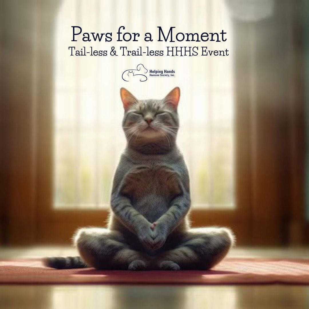 Paws for a Moment | Tail-less & Trail-less HHHS Event