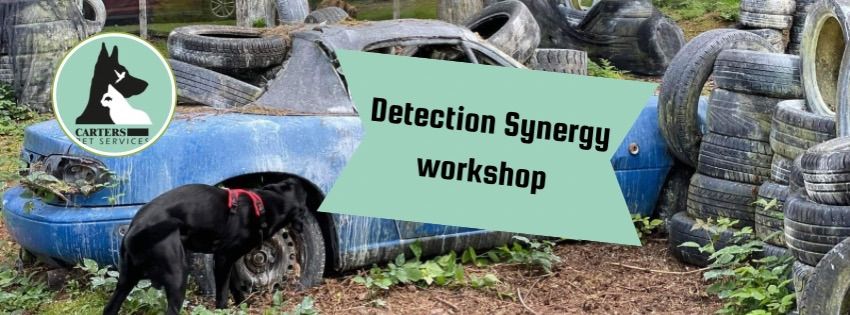 Detection Synergy - Scent Detection Day