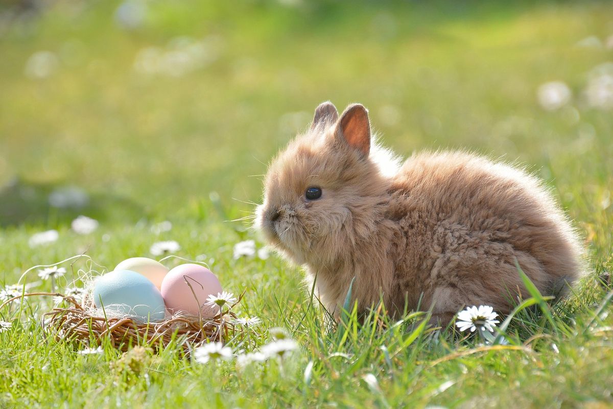 Flashlight Egg Hunt