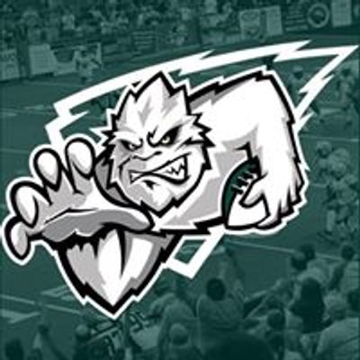 Green Bay Blizzard