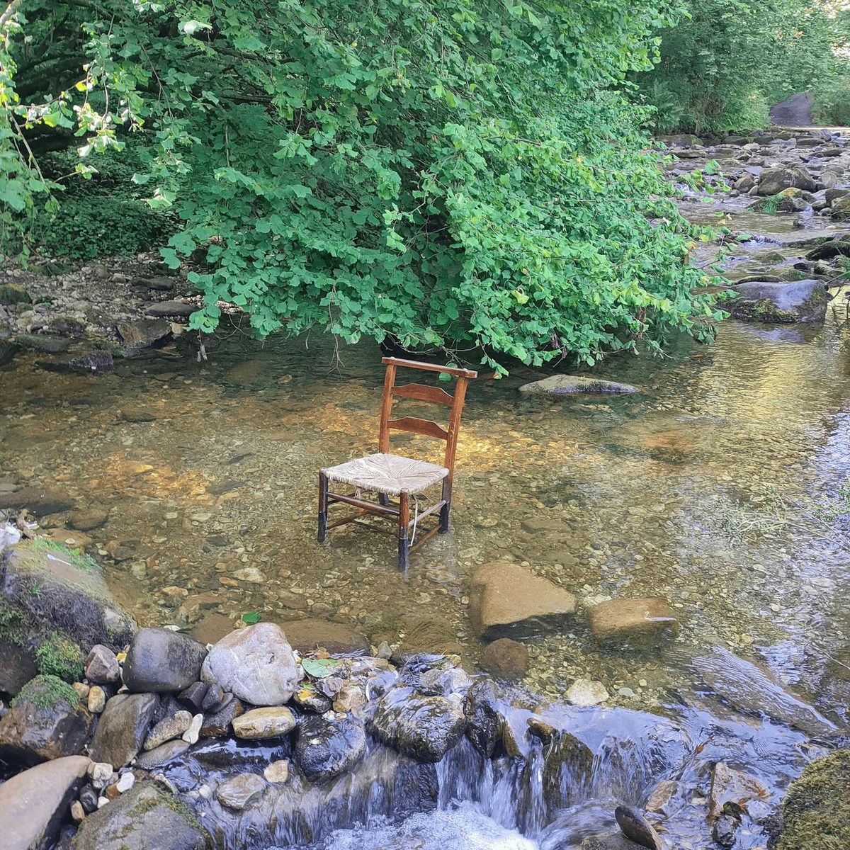 Liminal Festival: The Companion Piece