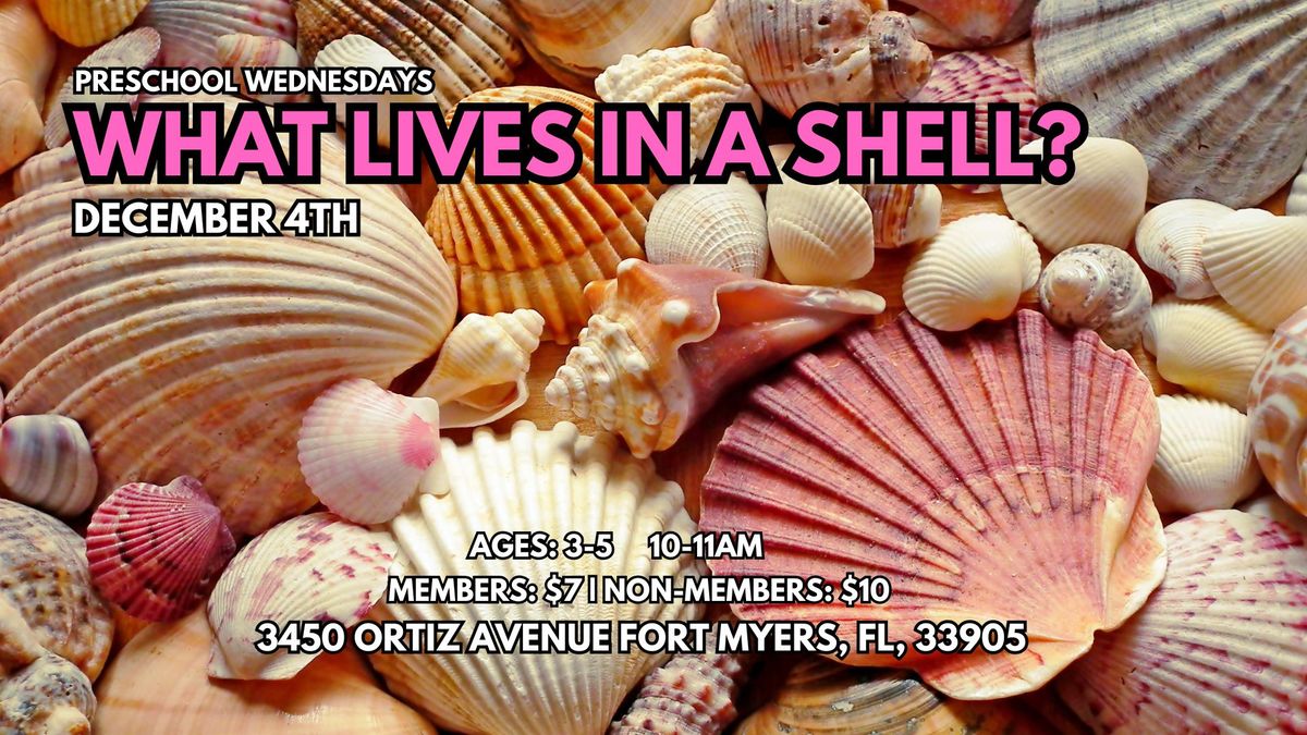 Preschool: What Lives in a Shell?