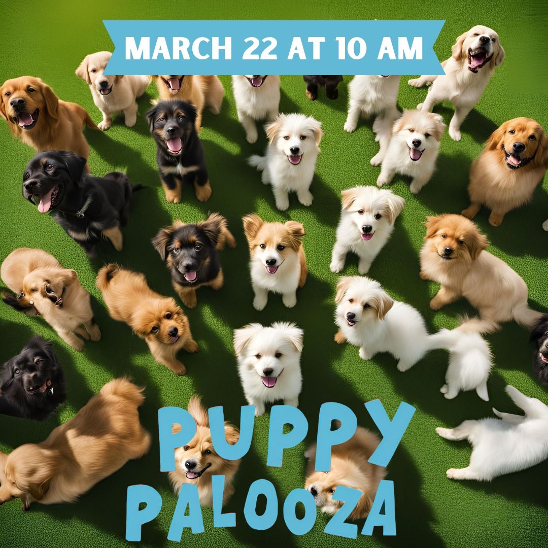 Puppy Palooza