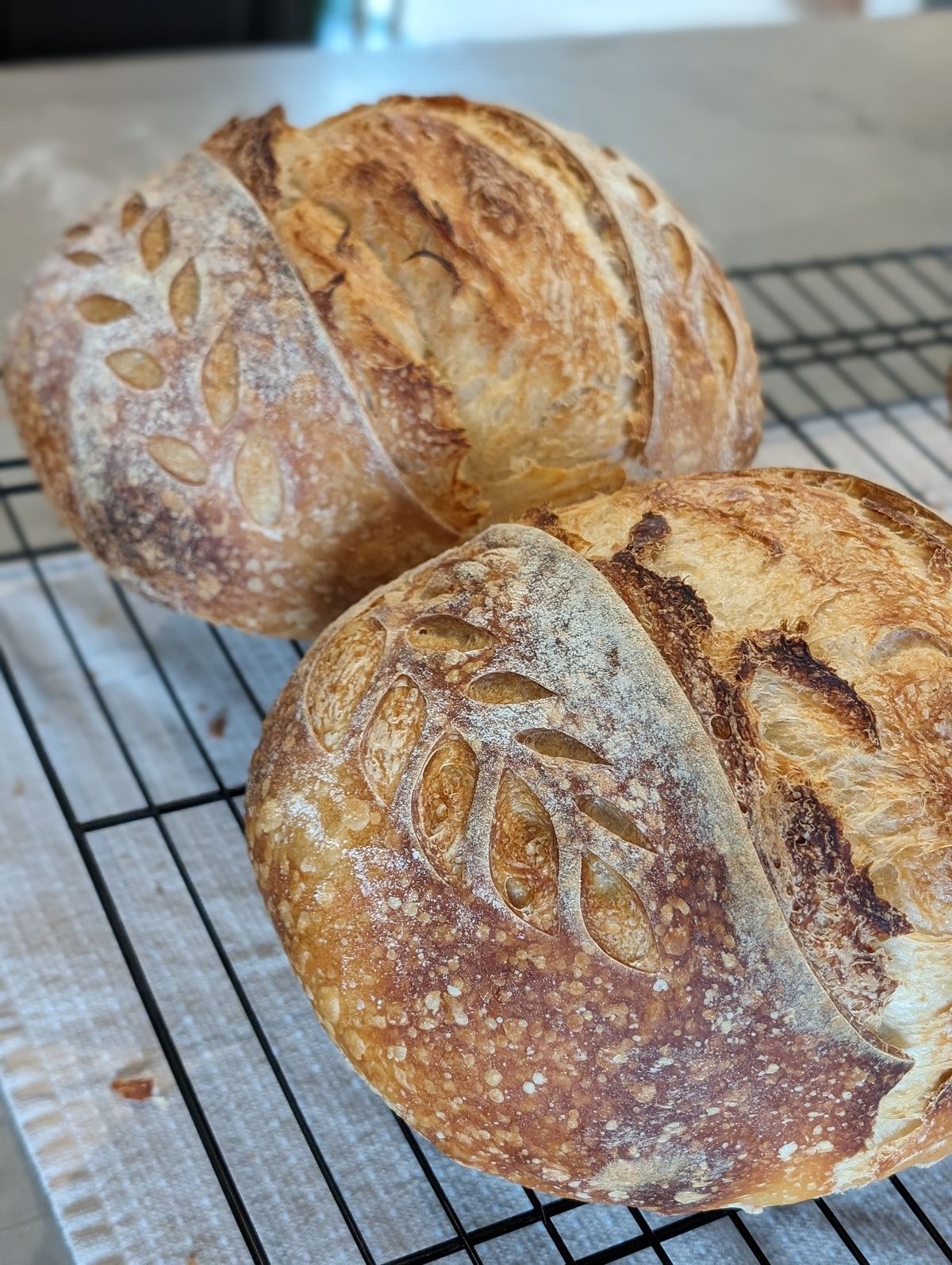 Beginner Sourdough Workshop March - Open