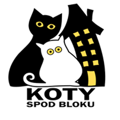 Koty Spod Bloku