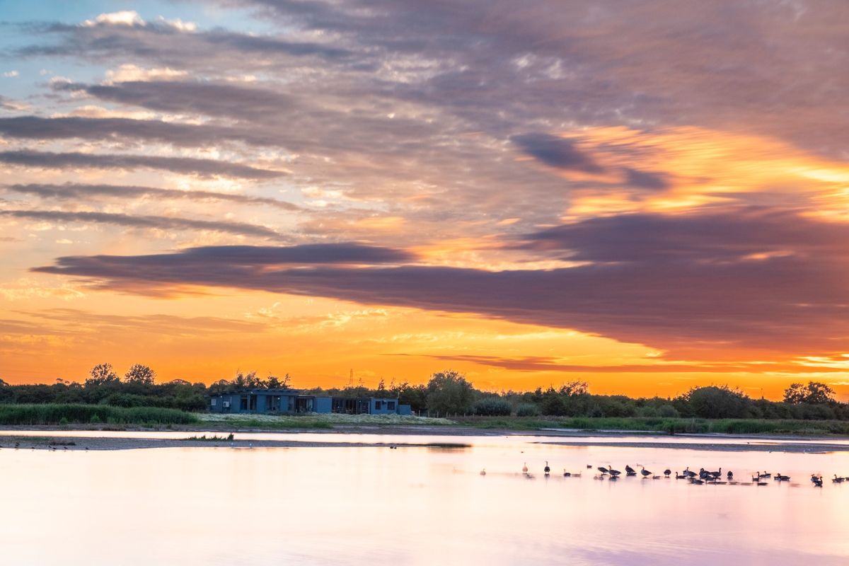 Evening Tour, with meal, at RSPB Frampton