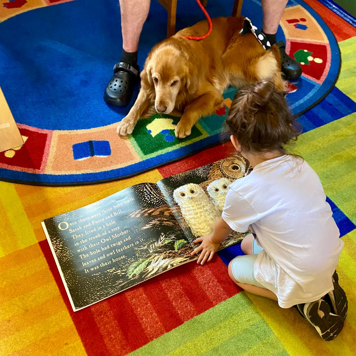 Read With a Therapy Dog!