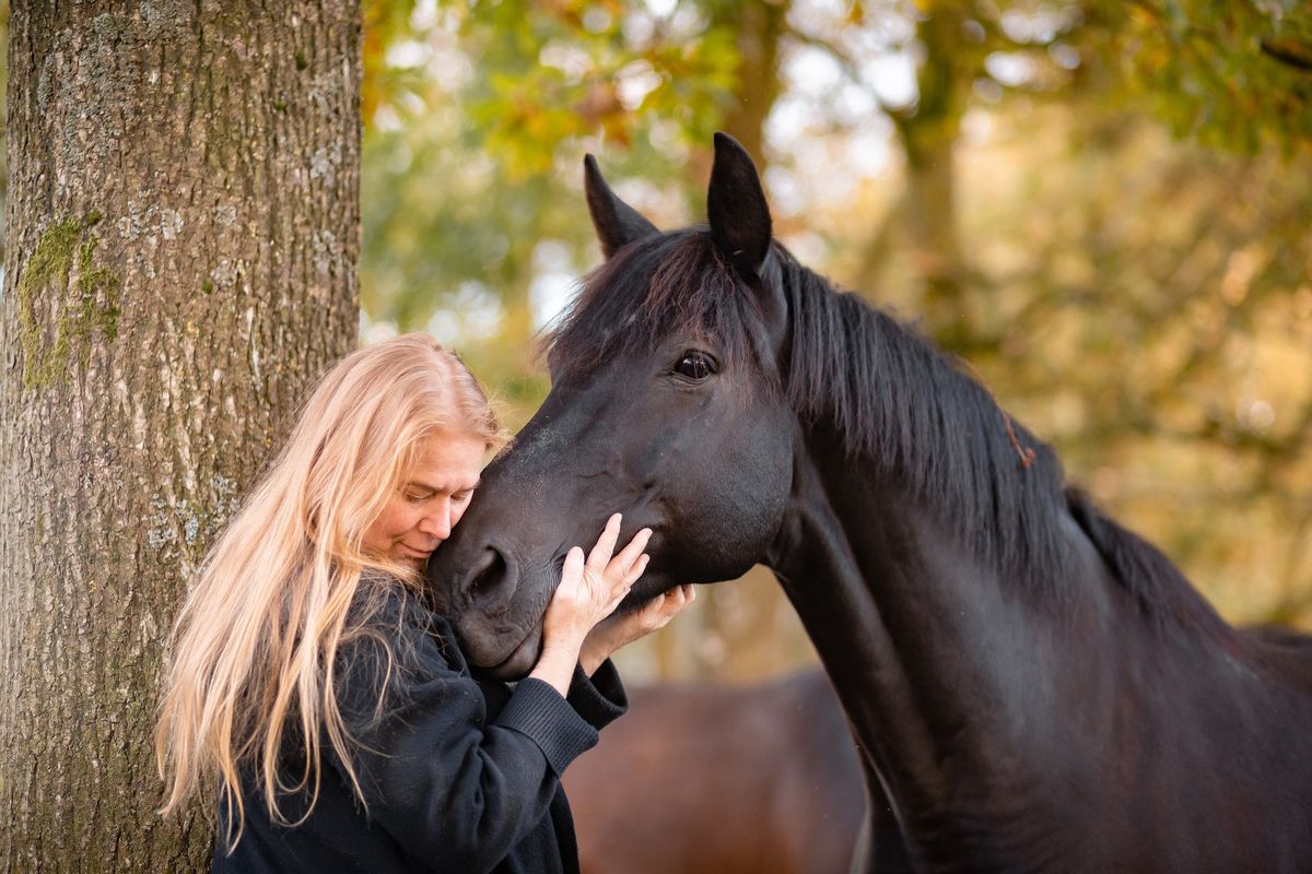 EQUINE FASCIA & TRAUMA RELEASE  MODULE 1 , CAPE TOWN