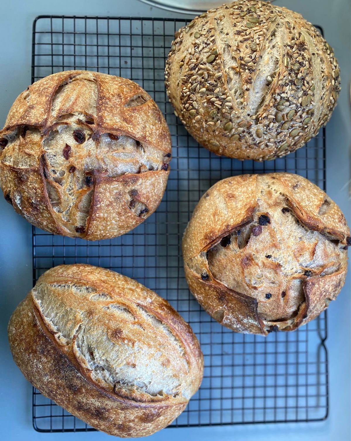 August Sourdough baking workshop