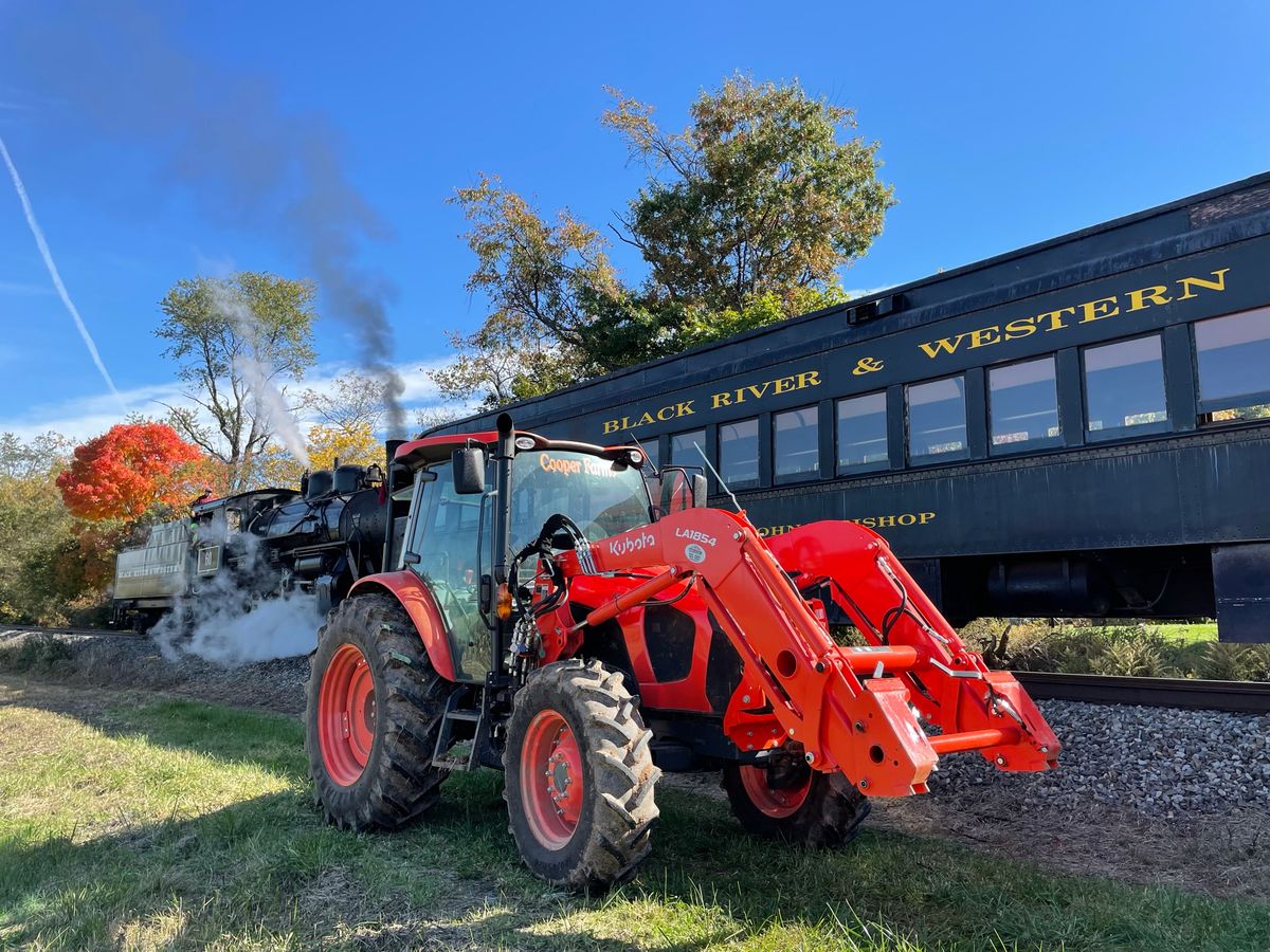 Pumpkin Train