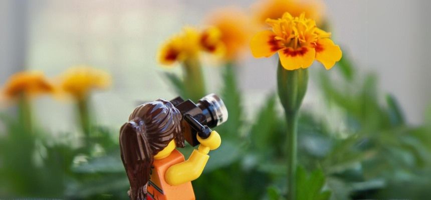 School Holidays: LEGO\u00ae Community Garden with Flower-Making - Wallsend Library