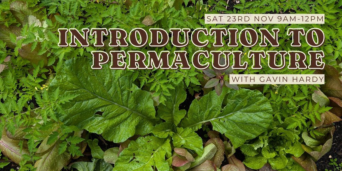 Introduction to Permaculture with Gavin Hardy