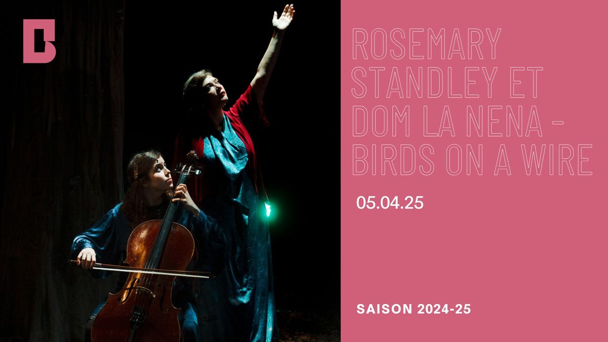 Rosemary Standley et Dom la Nena - Birds on a wire