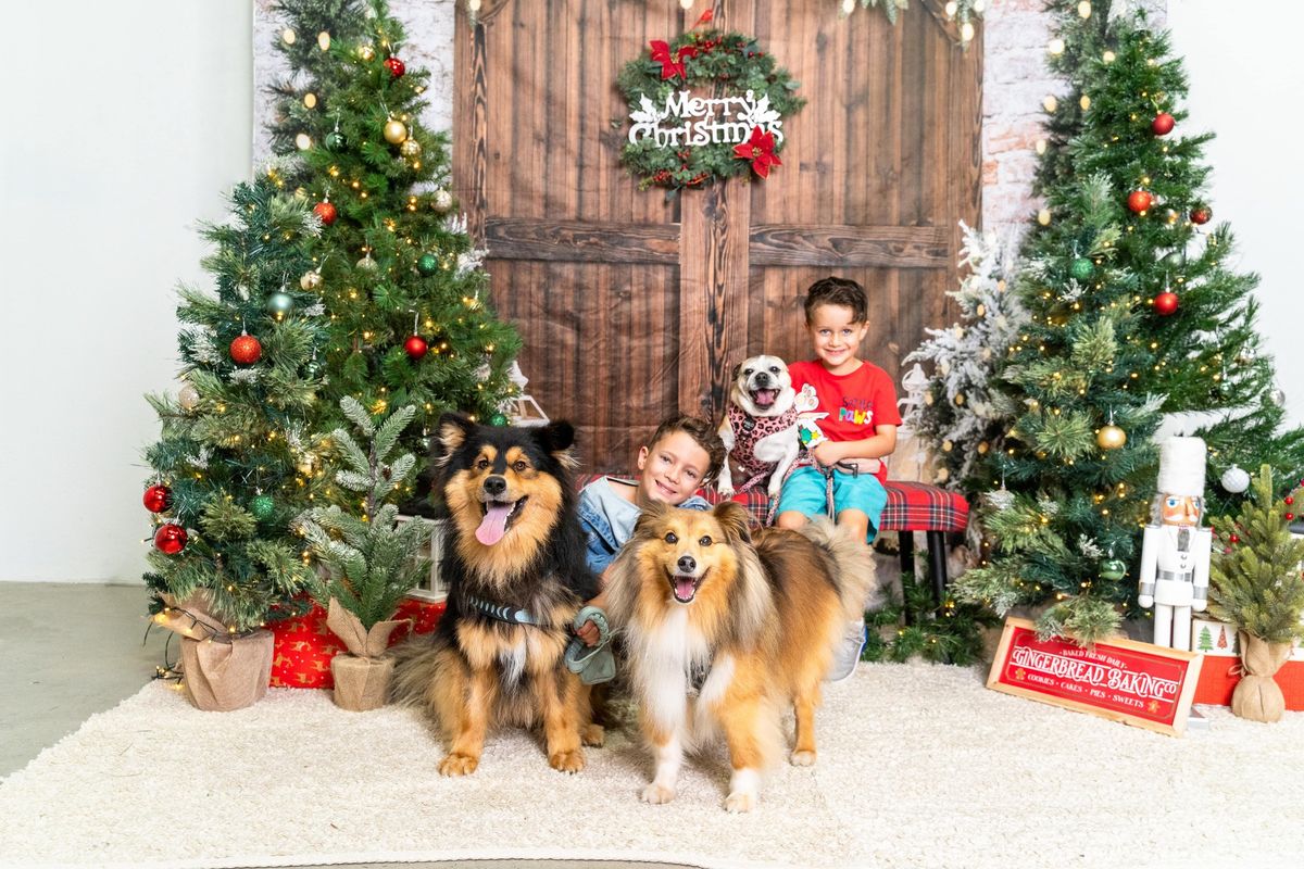 Pet Santa Photos 2024 - Thornleigh (Parkes Street Vet)