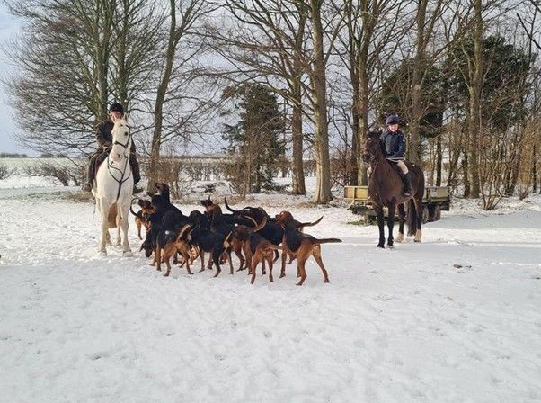 Highmoor Bloodhounds Boxing Day Meet @ Wetwang