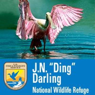 J.N. \u201cDing\u201d Darling National Wildlife Refuge (Official)