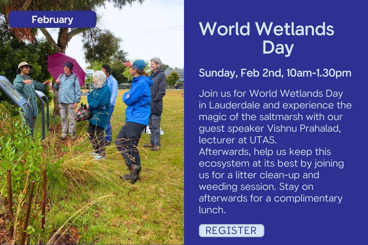 World Wetlands Day - Discover the Magic of the Saltmarsh!