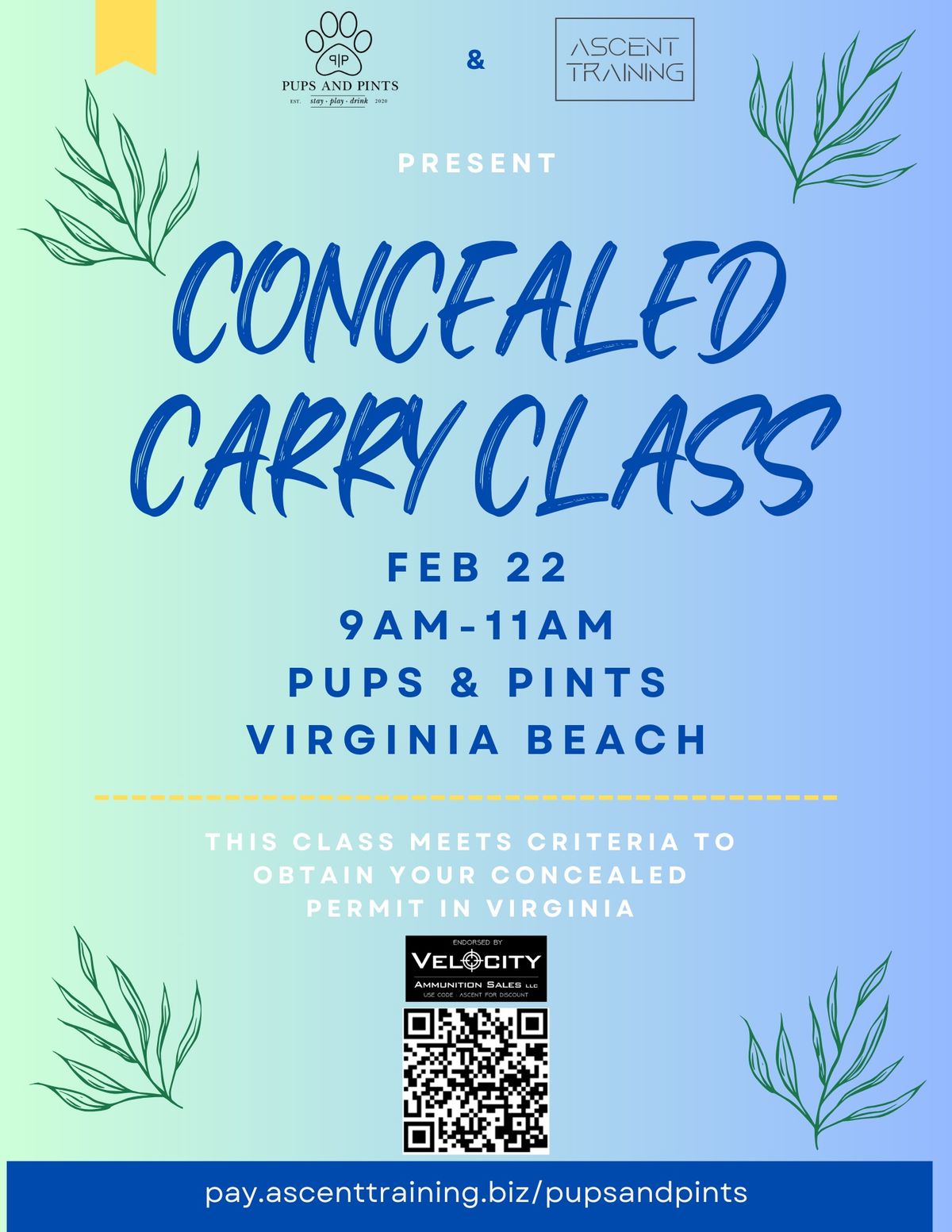 Concealed Carry Class