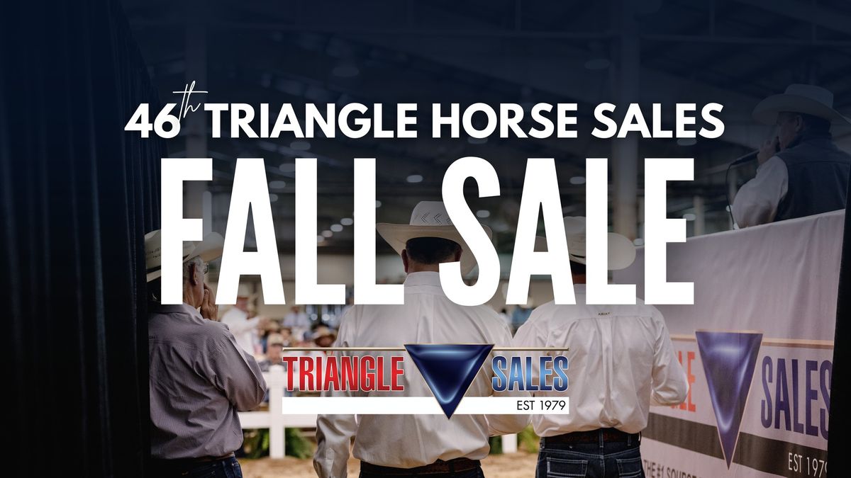 2025 Triangle Fall Sale