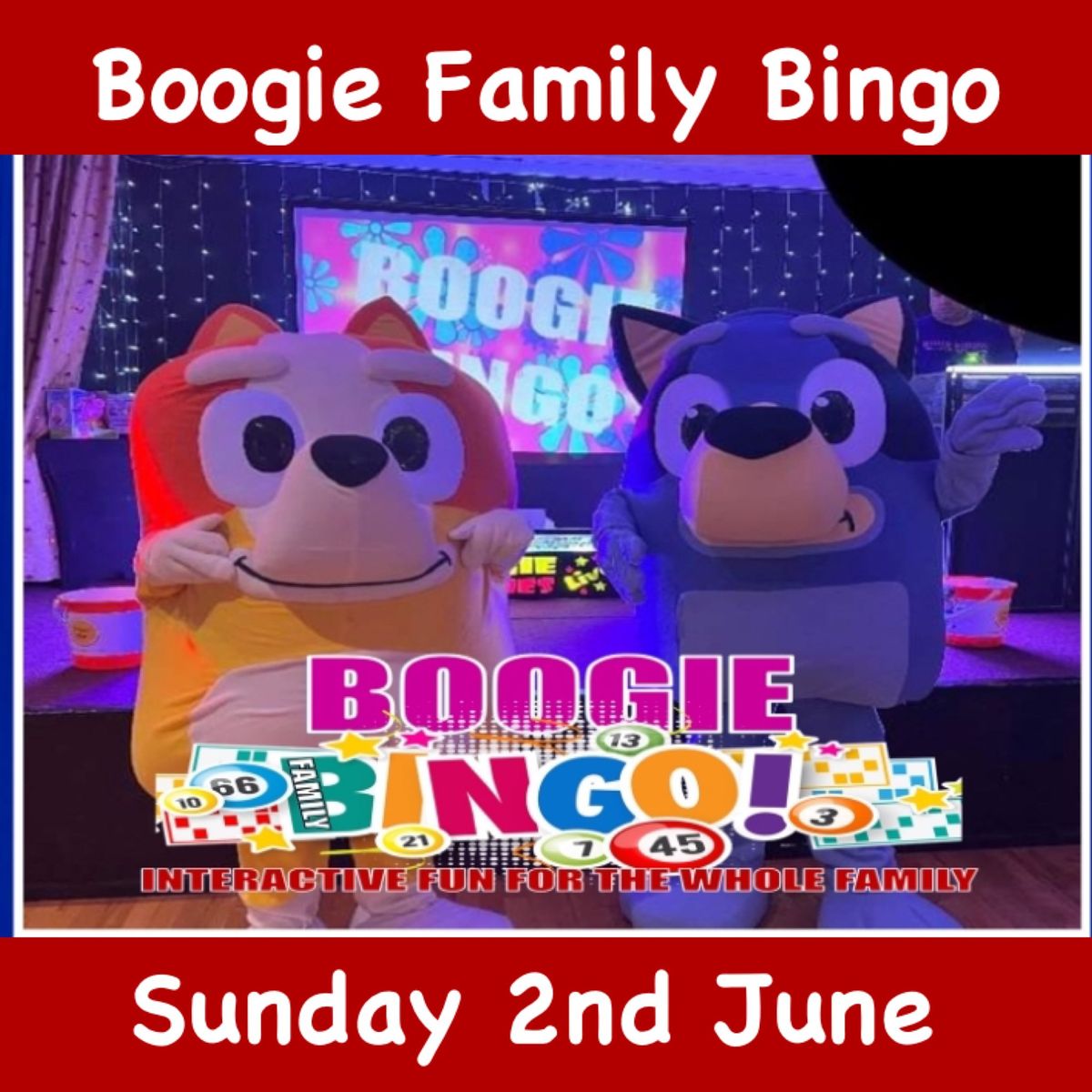 Tynecastle - Boogie Family Bingo