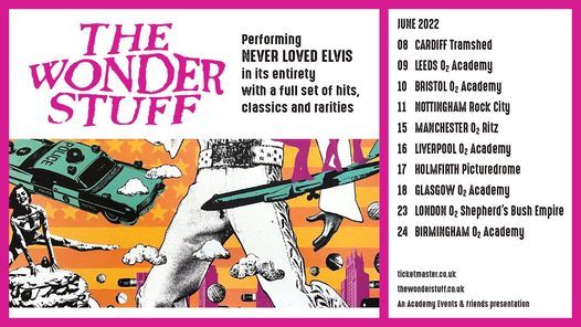 The Wonder Stuff performing Never Loved Elvis